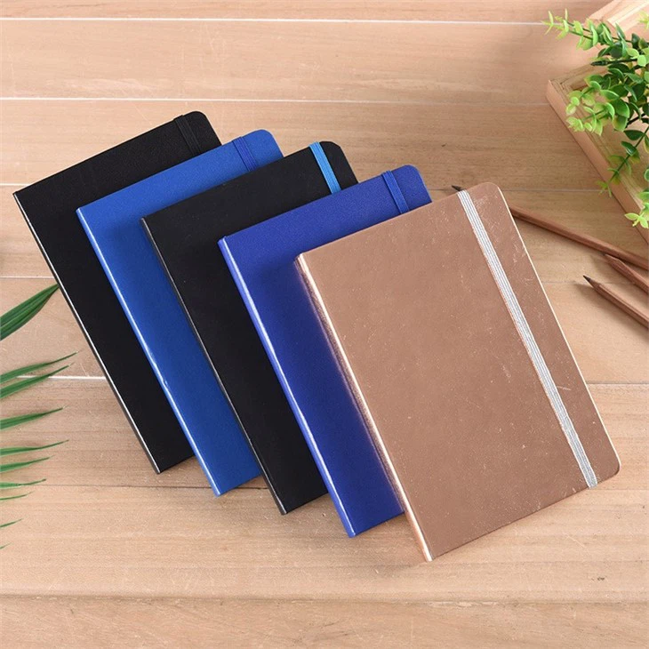 moleskine notebooks